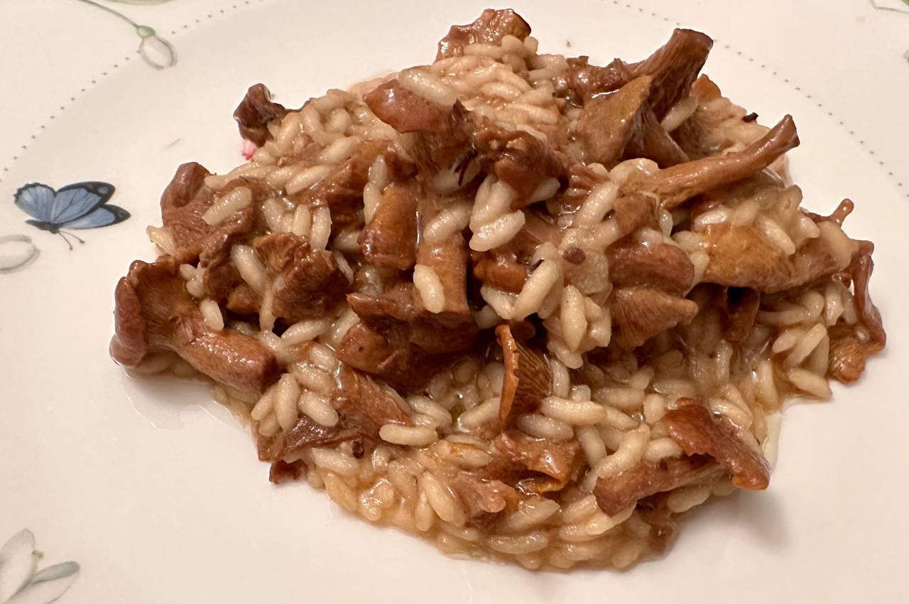 ������� � ���������