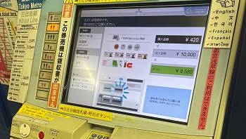 � ������ ������ ���� �� ������