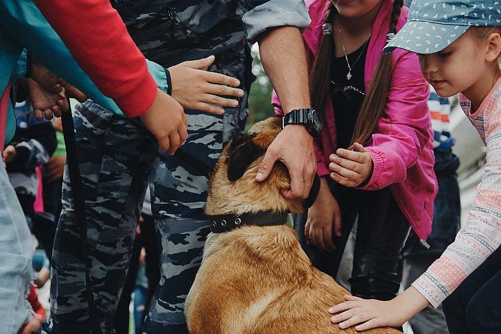 Жители десяти регионов познакомились с работой фронтовых собак