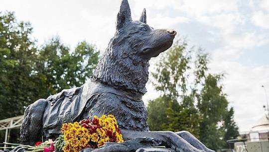 22 июня на открытой площадке Музея Победы пройдет возложение цветов к памятнику «Фронтовой собаке». Церемония состоится ...