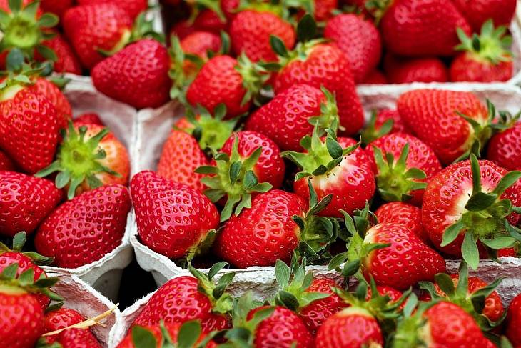 В России приступили к массовому сбору плодово-ягодных культур
