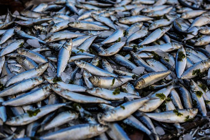 Цены на рыбу в России начали снижаться