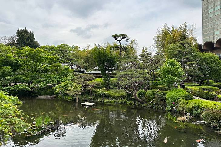 ������ ����� ������ �� ������� � ����� ���� � ���� � ������