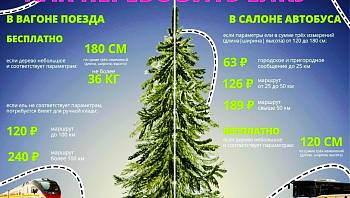 ��� ���������� ���������� ���� � ������������ ����������?