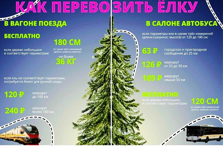 ��� ���������� ���������� ���� � ������������ ����������?