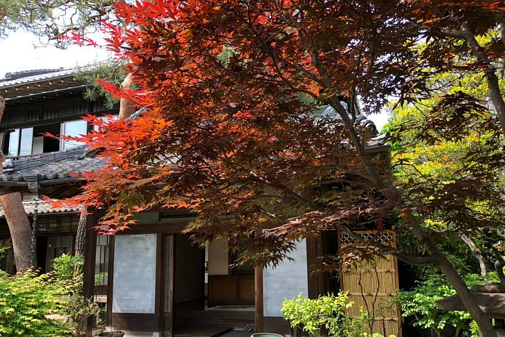 ���� ������ ��� �������� � ����