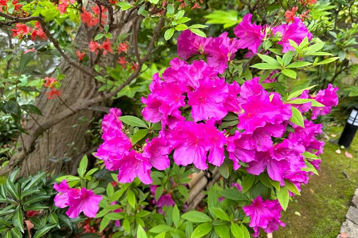 � �������� ������ ������� ������ ������� ����� 