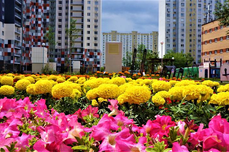 Москвичи выберут самые оригинальные фотографии благоустроенных дворов