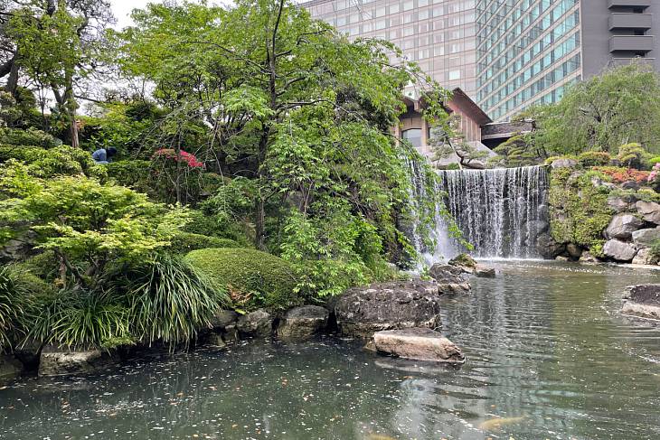 ����������� ��������� �� �������� ���-��-���� � �������� ����� 