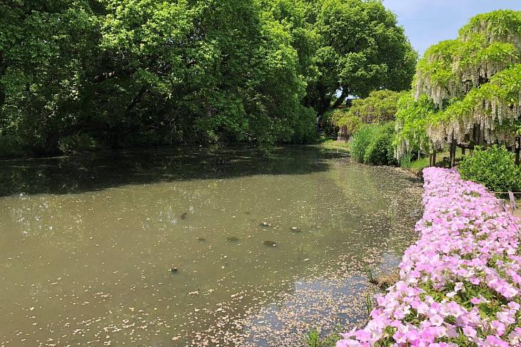 ���������� ��������� ��������� �����