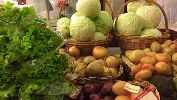 Производство овощей для «борщевого набора» в России снова выросло