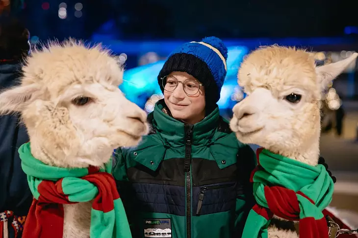 На семейном фестивале во Дворце пионеров открылся кинотеатр на льду На семейном фестивале во Дворце пионеров открылся кинотеатр на льду