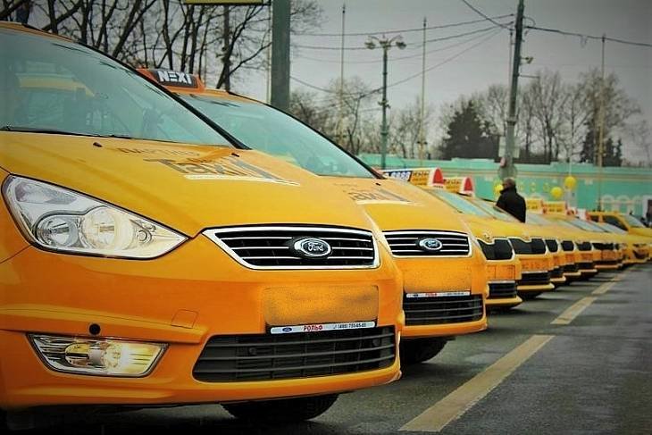 Водителей социального такси научат перевозить пассажиров с собаками-поводырями