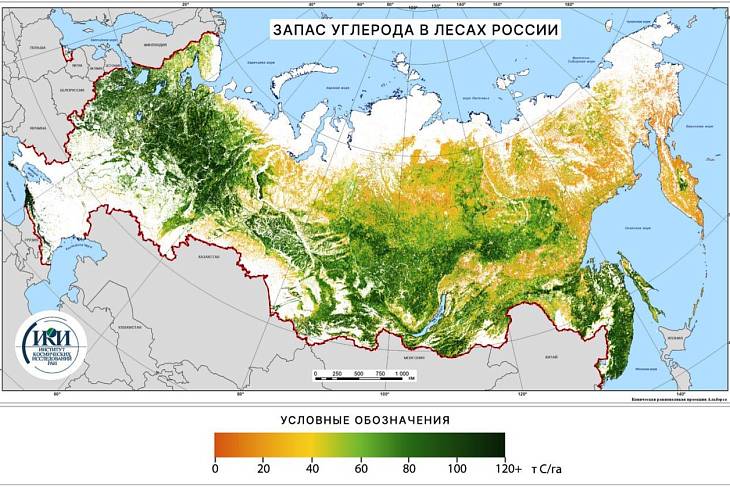В России создают новую систему мониторинга углерода в экосистемах страны В России создают новую систему мониторинга углерода в экосистемах страны