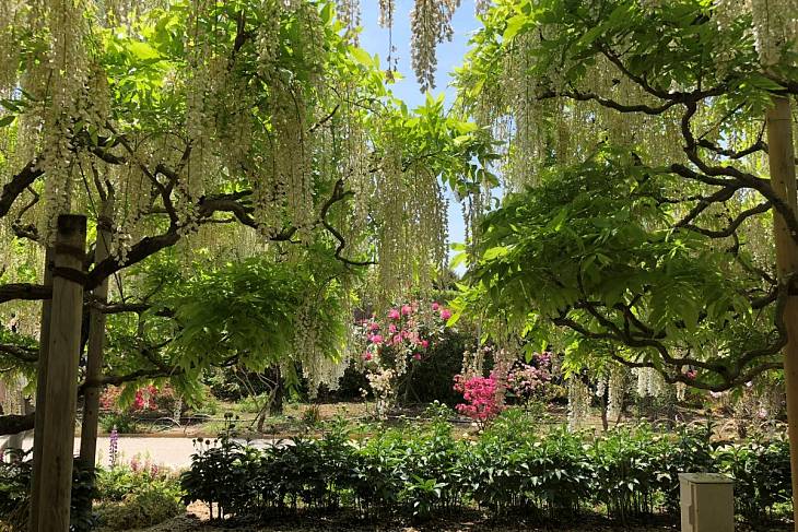 � ����� ���������� �������� ������ ����� �������� ������� �������