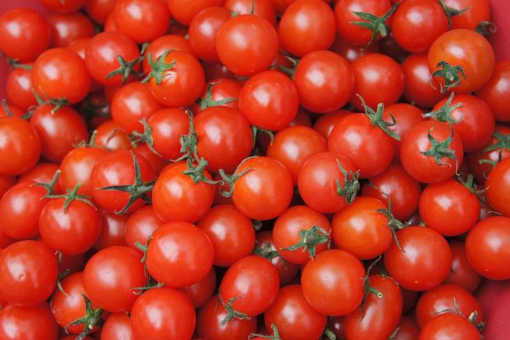 Ввоз яблок и томатов из Азербайджана в Россию запрещен