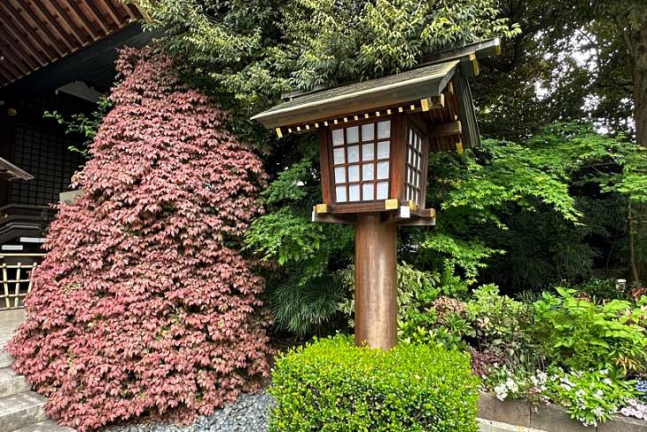 ���� �� ������ ������� � ���������� ����� - ������� ����� ��������� ������ 