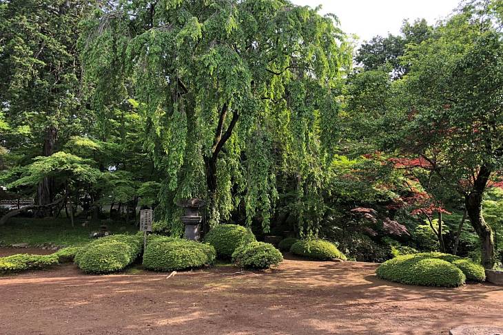 � ������ ��� �������� ���������� �� ��������� �������