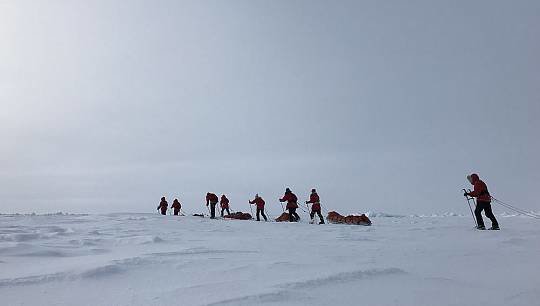 Стали известны имена ребят, которые в составе двух экспедиционных отрядов в апреле отправятся в Большую Арктическую эксп...