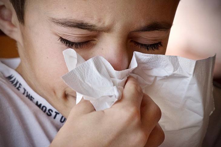 Показатель заболеваемости гриппом и ОРВИ превышен 27 субъектах РФ