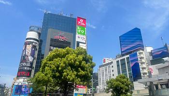 � ������ ������� � ������ ������� �������� �����������