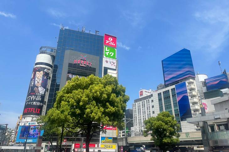 � ������ ������� � ������ ������� �������� �����������