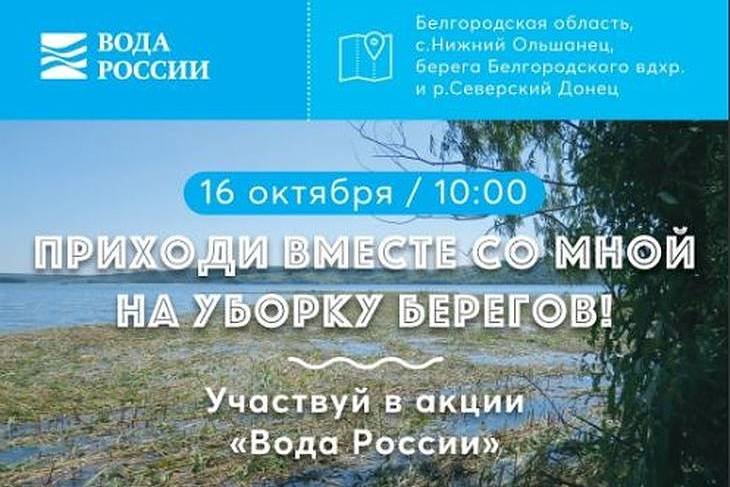 Берега Северского Донца и Белгородского водохранилища очистят волонтеры