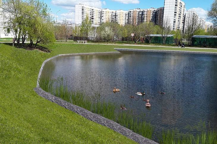 В Москве возобновились работы по капитальному ремонту прудов