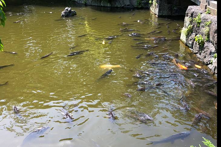 � ������ �������� �� ���� ���� ������� �����������