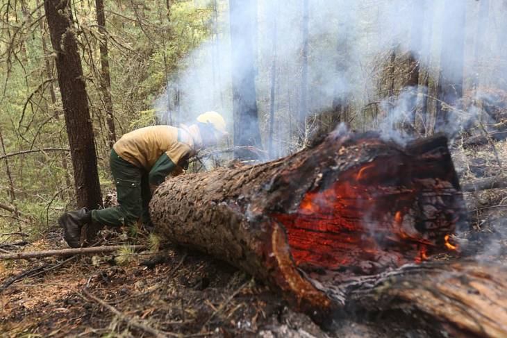 За прошлую неделю в 49 регионах страны ликвидированы 567 лесных пожаров