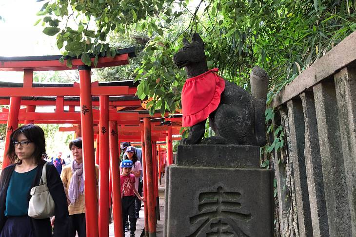 ���������� ������� ������ �������� ������������ ������ ���������� ��� � ���������� �����