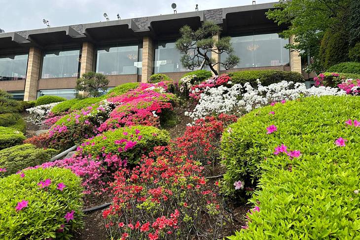 ���������� �������: ��� ������� ��������, ������� ���� ������ 