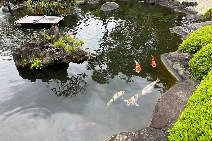 � ����� ��������� ������ � ������ ������������ ���������� �����