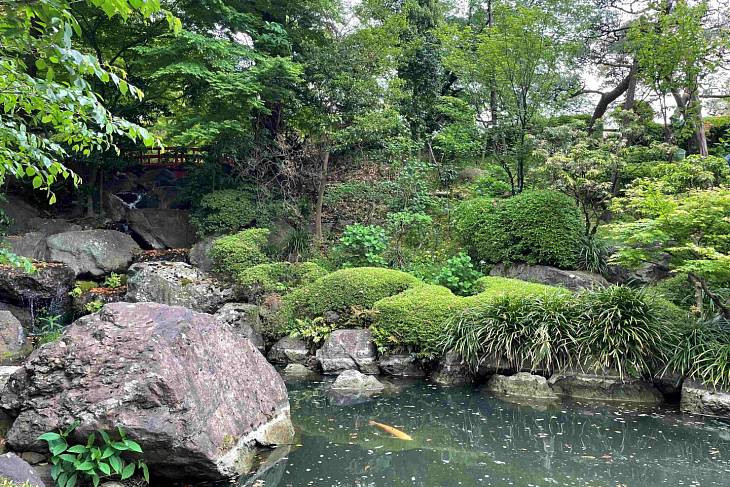 �� ��� ���������� �������� ������������ �������������. 