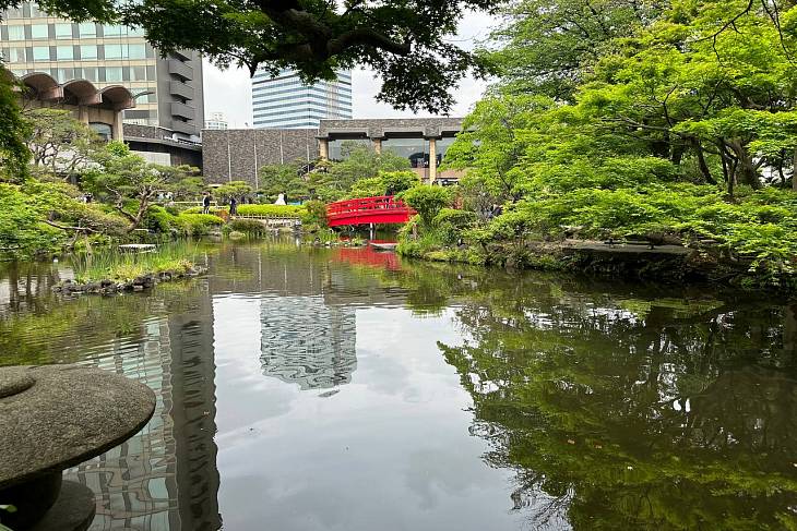 ������ 1.5 ���� ����� ������������� �� ����������� ���� �������� �������� �������-��������