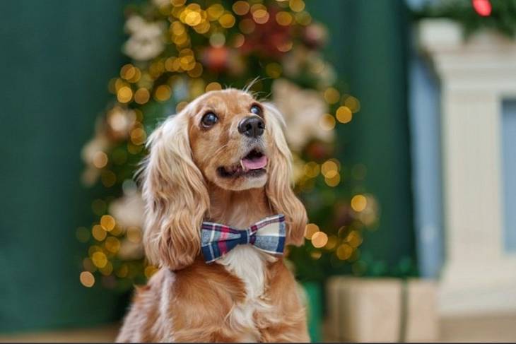 ��������� ���� � ������� ������