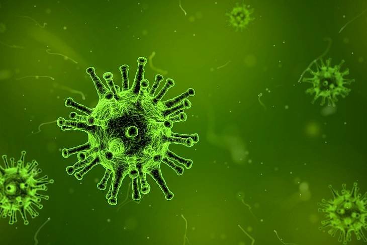В России не выявлено ни одного случая заболевания коронавирусом
