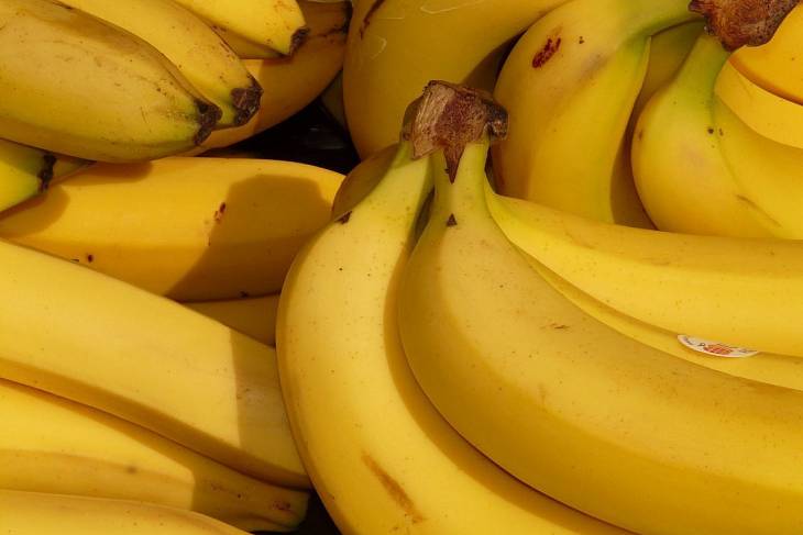 В бананах из Эквадора находят мух-горбаток
