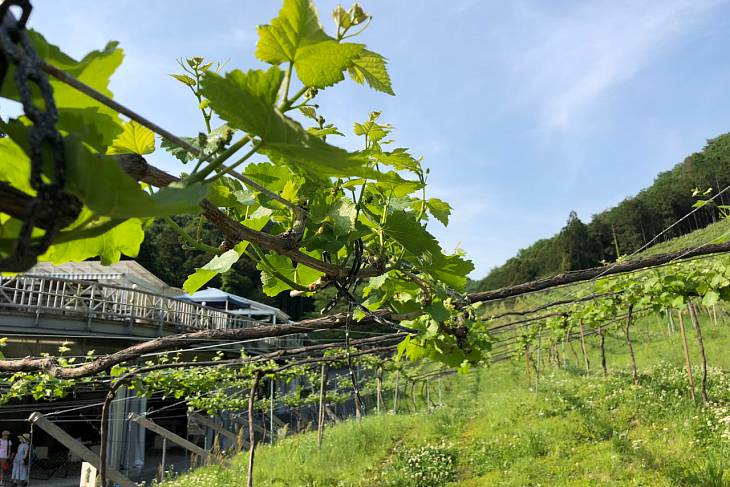 ������ ���������� ������������ ������ ������������ ������� �����