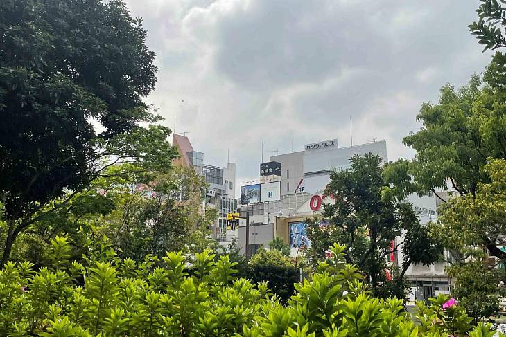 ����� ���������� � ������ �������� ������ ��������