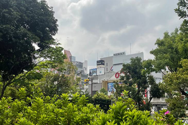 � ������ ��������� �������� �� ������