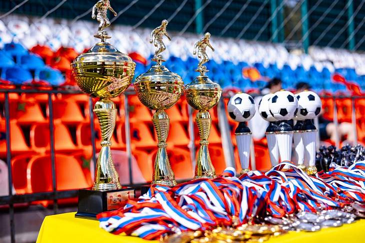 В Лужниках пройдет суперфинал первого Всероссийского детского футбольного турнира «Чемпионат Победителей»