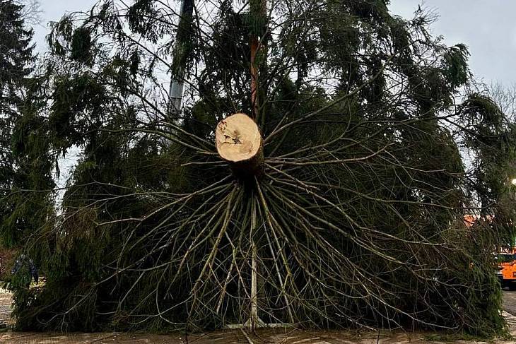 ��������� ����������� ������� � ����� ����� ������� ���������� ��� ������