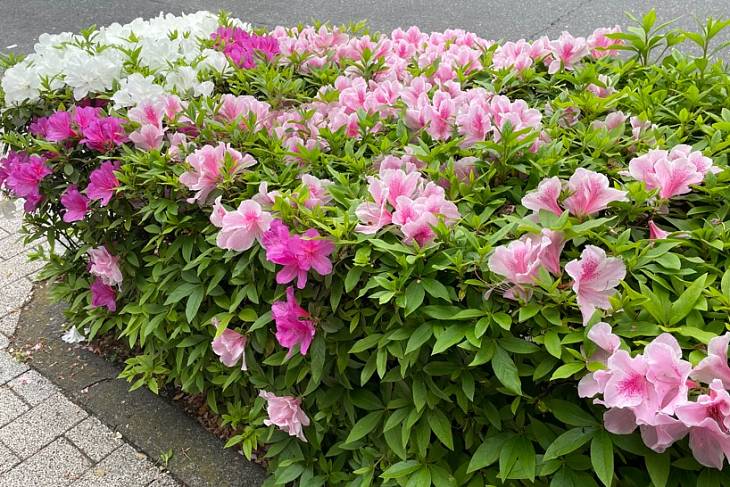 ����� ������� �������������� �������� ������ � ������