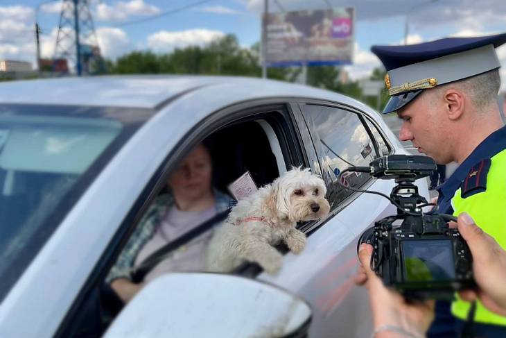 Водителям раздали бесплатные наборы для контроля трезвости Водителям раздали бесплатные наборы для контроля трезвости