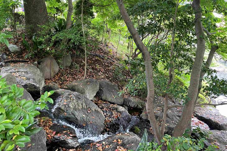 �� �������� ����� �������� � ����� �� ������� � ���������