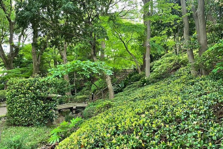 � ���������� �������� � ������ ����� ����������� ���������� �� ������ �����