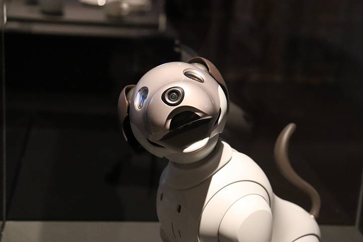 В Москве протестируют роботов-собак