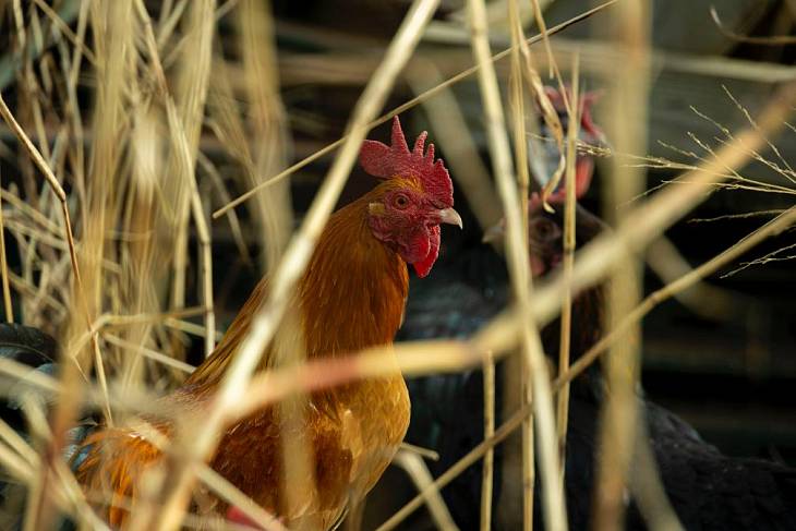 �������� �������������� ��������� �� ��� � ������� � ������ �������� ����������