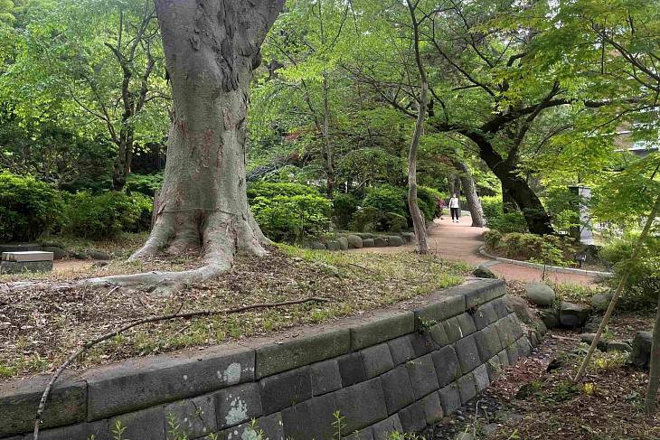 ������ 34 ���� �� ��� ���������� ����� � ������ ������ ��������� ������� �� ��������